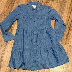 Denim button up dress
